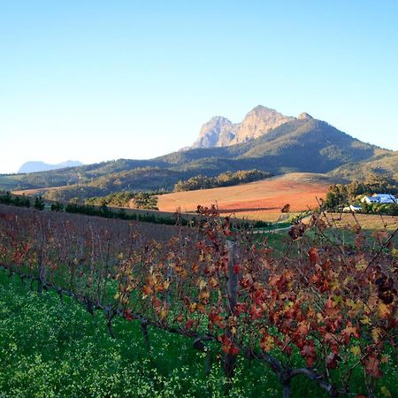 مبيت وإفطار ستيلينبوش Marianne Wine Estate المظهر الخارجي الصورة