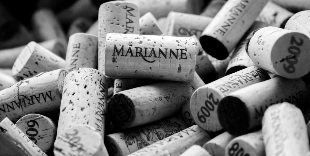 مبيت وإفطار ستيلينبوش Marianne Wine Estate المظهر الخارجي الصورة
