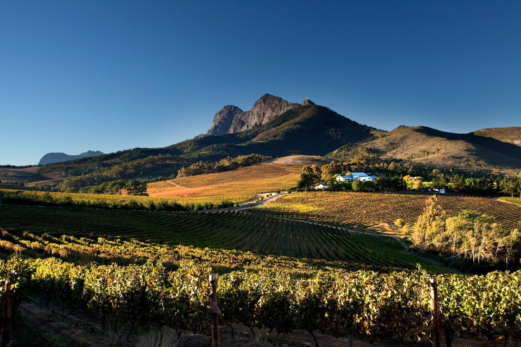 مبيت وإفطار ستيلينبوش Marianne Wine Estate المظهر الخارجي الصورة
