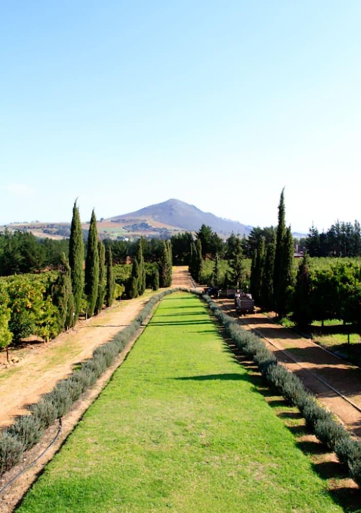 مبيت وإفطار ستيلينبوش Marianne Wine Estate المظهر الخارجي الصورة