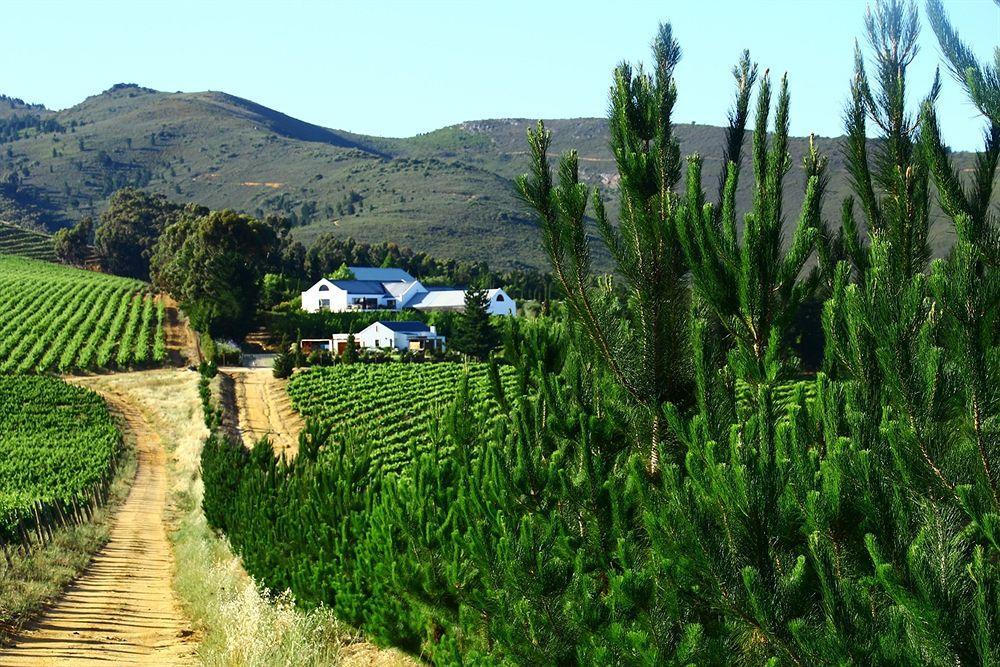 مبيت وإفطار ستيلينبوش Marianne Wine Estate المظهر الخارجي الصورة