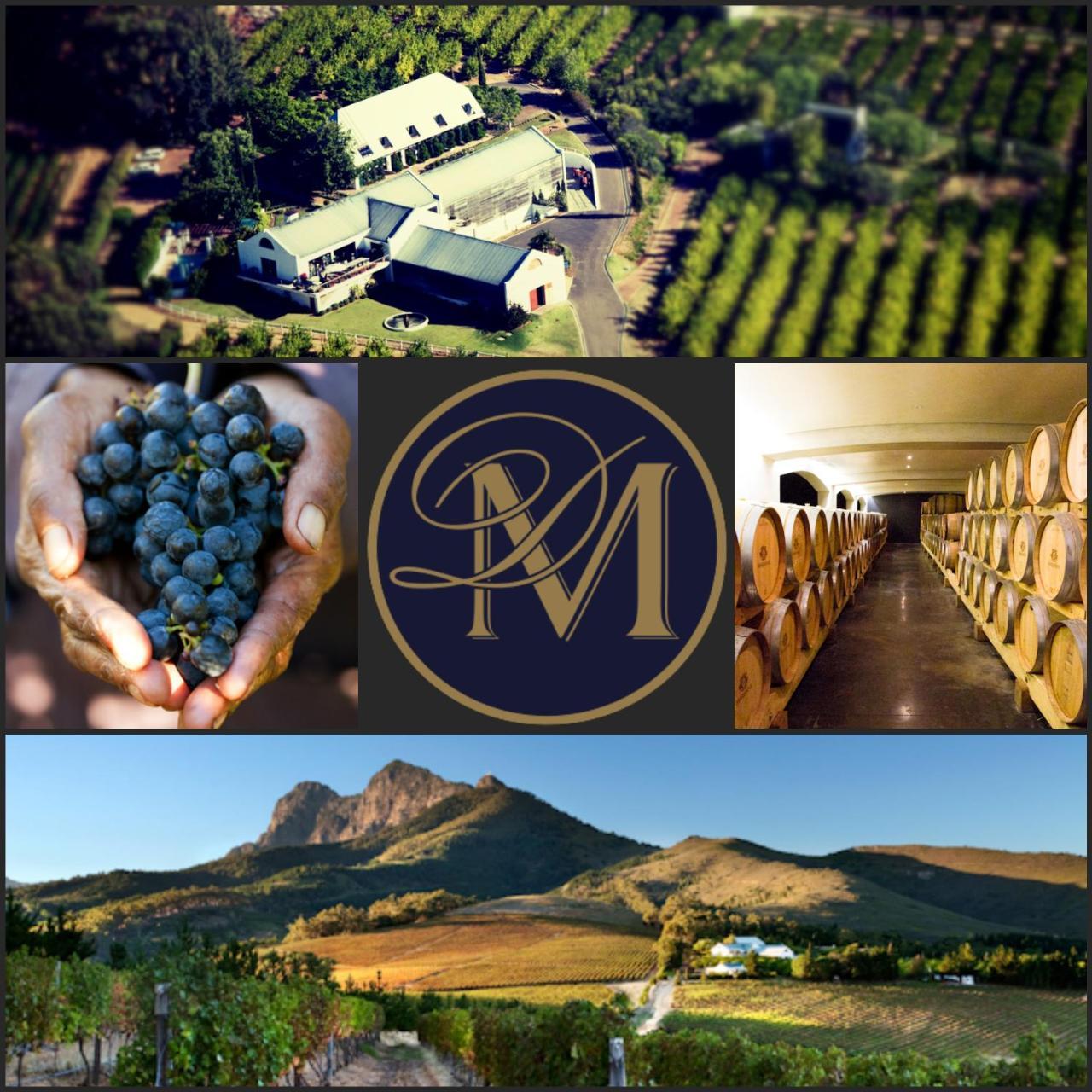مبيت وإفطار ستيلينبوش Marianne Wine Estate المظهر الخارجي الصورة