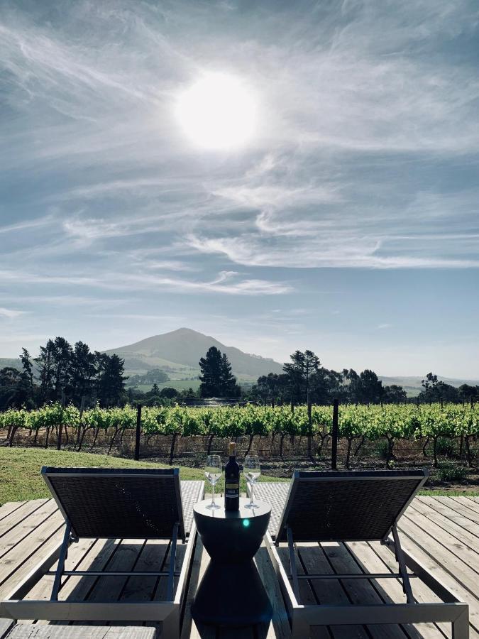 مبيت وإفطار ستيلينبوش Marianne Wine Estate المظهر الخارجي الصورة